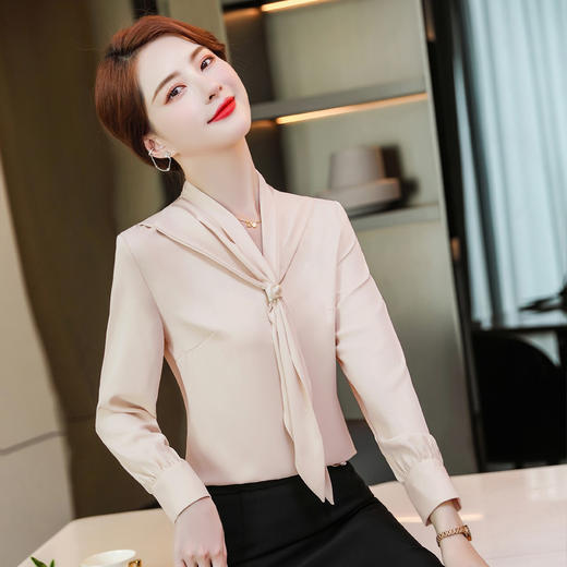 XZ-XZ-YQ6103红色衬衫女秋修身女士长袖雪纺衫秋季正装上衣职业装白衬衣工作服 商品图3