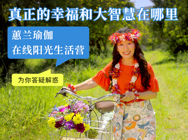 202601期 蕙兰瑜伽 在线阳光生活营