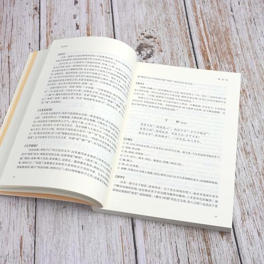国学名著讲读系列 诗经讲读  详细注释  难点分析 文史拓展 中文系教授 国学专家解读国学经典 商品图3