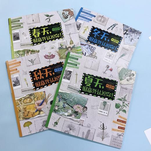 【适合5-12岁】中国植物很高兴认识你（全4册） 4大科学专题40种中国植物40幅植物科学画400余全科知识400幅全彩手绘 商品图5