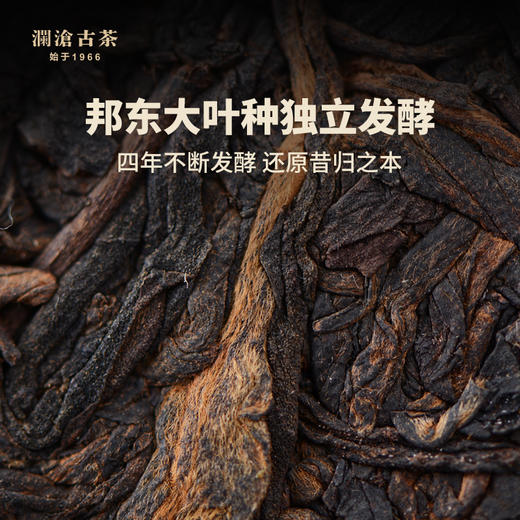 澜沧古茶2021年昔归熟茶357g/片（1提拍5片） 商品图3