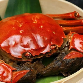 阳澄湖大闸蟹，产地实访，寻找正宗大闸蟹，膏黄肥美，肉好甜