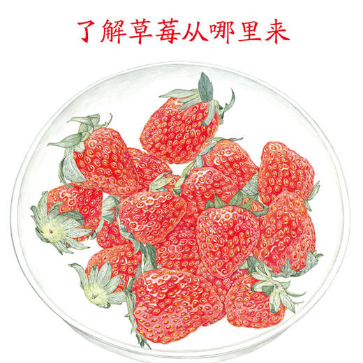 诺贝尔科学馆：草莓（精） 商品图2