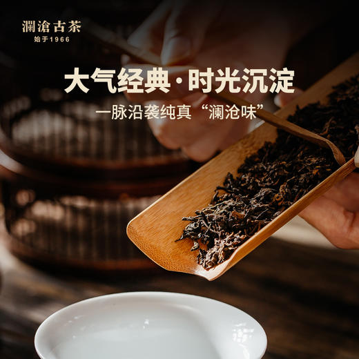 澜沧古茶2021年八壹金瓜普洱茶熟茶八一云南贡瓜古茶老熟茶500g 商品图6