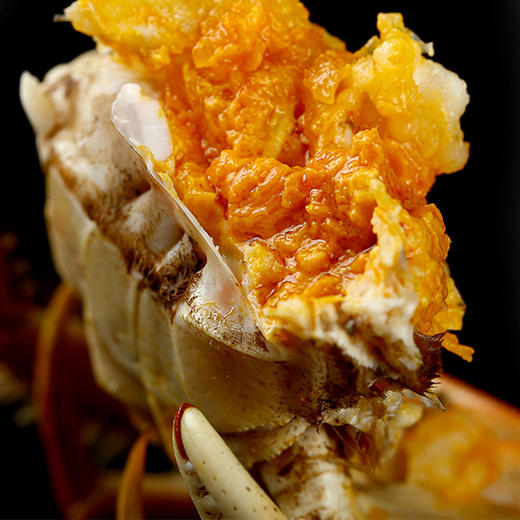 阳澄湖大闸蟹，产地实访，寻找正宗大闸蟹，膏黄肥美，肉好甜 商品图5
