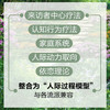 心理治疗中的人际过程 第7版 商品缩略图4