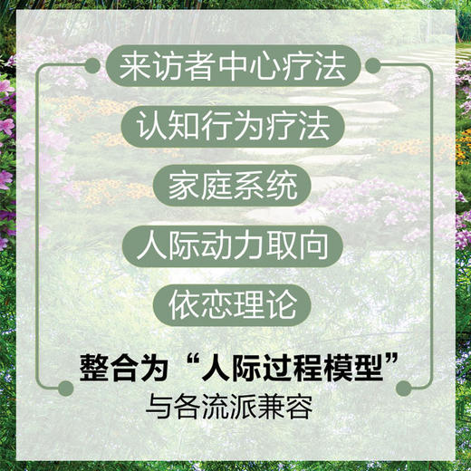 心理治疗中的人际过程 第7版 商品图4