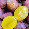 【排单发货】新疆喀什正宗法南西 小西梅 3斤/4斤（挑软的先吃） 商品缩略图1