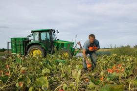 都说有机农产品好！但是大家为什么就是不买账？ 