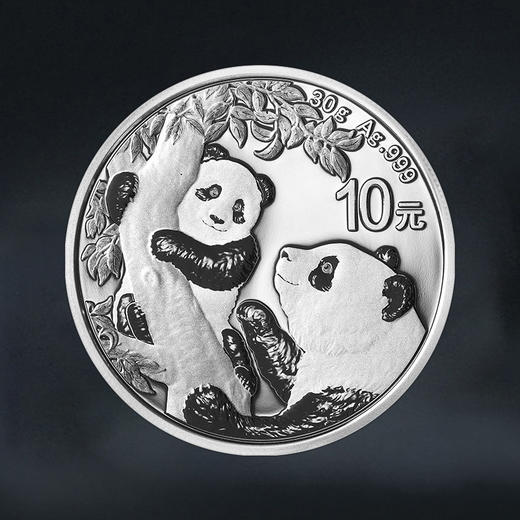 2021年熊猫30克银币 商品图0