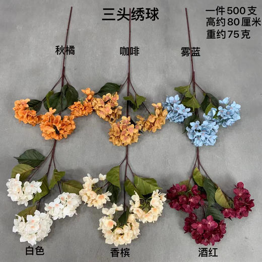 三头绣球【运费自理】 商品图0