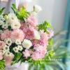 【烟火星辰】香草沙拉小雏菊2 伊人康乃馨5 白色洋桔梗6朵 白色绿心小雏菊2 粉色星太子1 随机送青梅叶3（王嘻嘻设计） 商品缩略图1