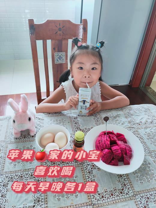 摩菲水牛纯牛奶｜拒绝奶腥味 来自云南苍山洱海 自然纯净 珍贵奶源 口感顺滑、细腻、香醇 甘甜不腻 早晚一杯 给家人补充营yang 让孩子养成喝奶习惯 商品图2