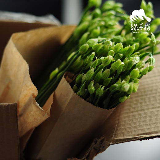 生态韭菜苔 | 合作生产*Eco-Leek moss |Coprodution 商品图4