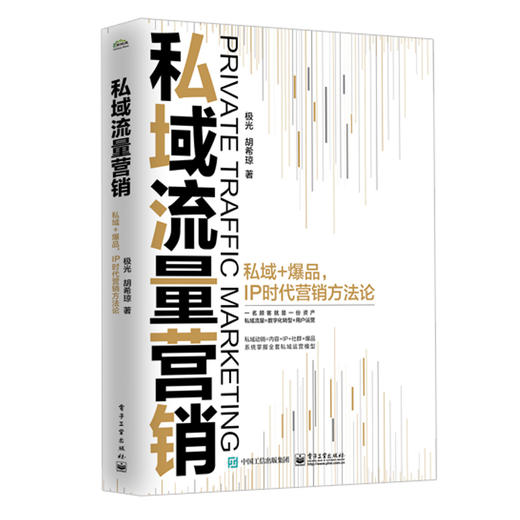 私域流量营销—— 私域+爆品，IP时代营销方法论 商品图0