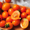 生态圣女果 | 合作生产* Eco-Cherry Tomatoes | Coprodution 商品缩略图0