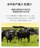 摩菲水牛纯牛奶｜拒绝奶腥味 来自云南苍山洱海 自然纯净 珍贵奶源 口感顺滑、细腻、香醇 甘甜不腻 早晚一杯 给家人补充营yang 让孩子养成喝奶习惯 商品缩略图7
