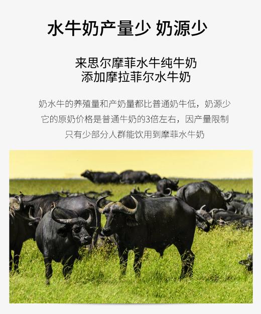 摩菲水牛纯牛奶｜拒绝奶腥味 来自云南苍山洱海 自然纯净 珍贵奶源 口感顺滑、细腻、香醇 甘甜不腻 早晚一杯 给家人补充营yang 让孩子养成喝奶习惯 商品图7