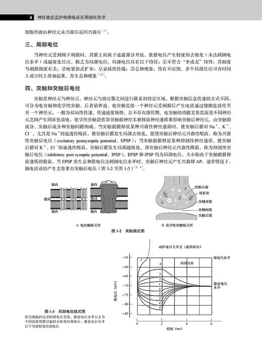 神经重症监护病房临床实用脑电图学 江文 编 临床脑电图书籍 N-ICU脑电图监测电生理重症医学 北京大学医学出版社9787565921872 商品图4