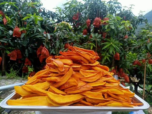 芒果干（有机芒果加工） 商品图2