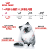 皇家奶糕罐头  幼猫孕猫哺乳湿粮 幼猫离乳期主食级猫罐头 195g 商品缩略图2