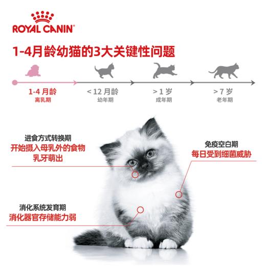 皇家奶糕罐头  幼猫孕猫哺乳湿粮 幼猫离乳期主食级猫罐头 195g 商品图2