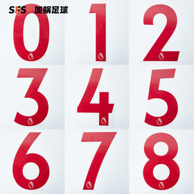 SFS 2019-2021赛季英超联赛球员版红色印号 胶质 个性定制 Avery