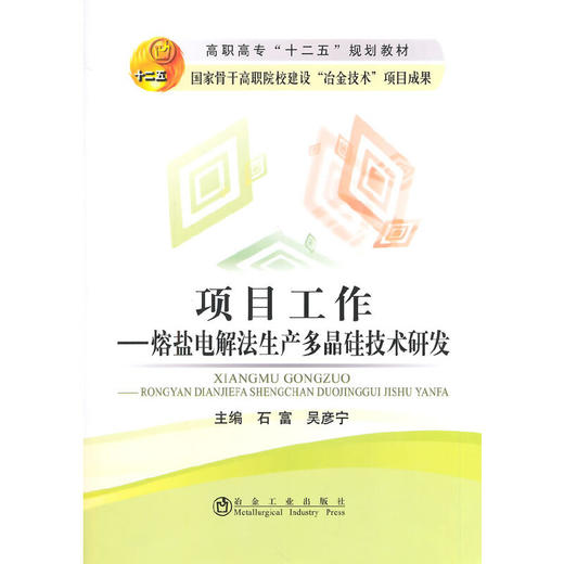 项目工作--熔盐电解法生产多晶硅技术研发(高职高专)/石富 吴彦宁 商品图0