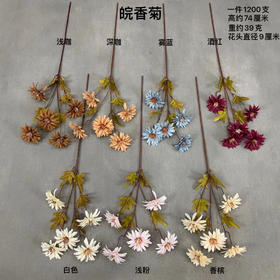 皖香菊【运费自理】