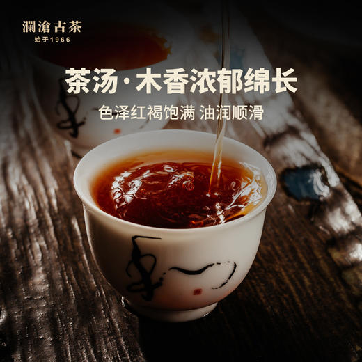 澜沧古茶2021年古木香5年陈普洱茶熟茶翘散茶150g 商品图3