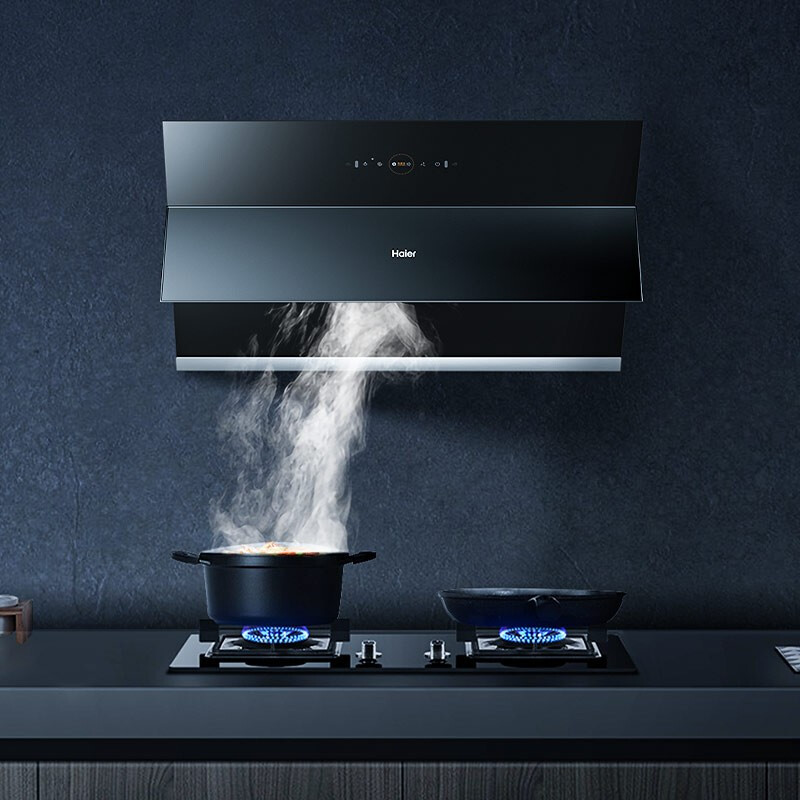 海尔（Haier）侧吸触摸 20m³大吸力 挥手智控开关机  wifi智控  支持小优语音控制 专业热熔洗 CXW-219-EC906U1（无装饰罩）