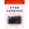 矿产资源开发利用与规划(本科)/邢立亭 徐征和 王青 商品缩略图0