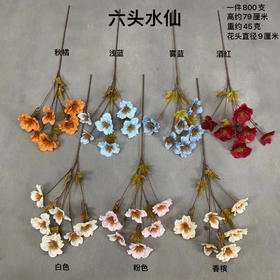 六头水仙【运费自理】