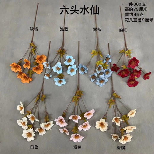 六头水仙【运费自理】 商品图0