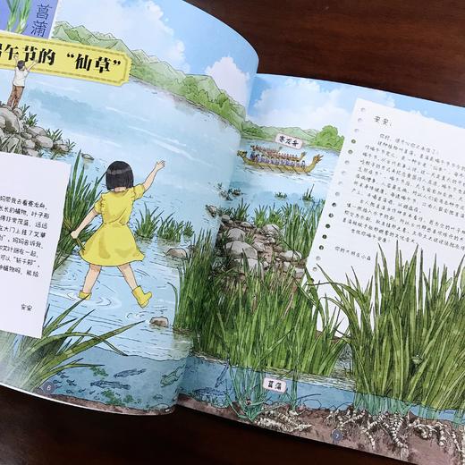【适合5-12岁】中国植物很高兴认识你（全4册） 4大科学专题40种中国植物40幅植物科学画400余全科知识400幅全彩手绘 商品图8