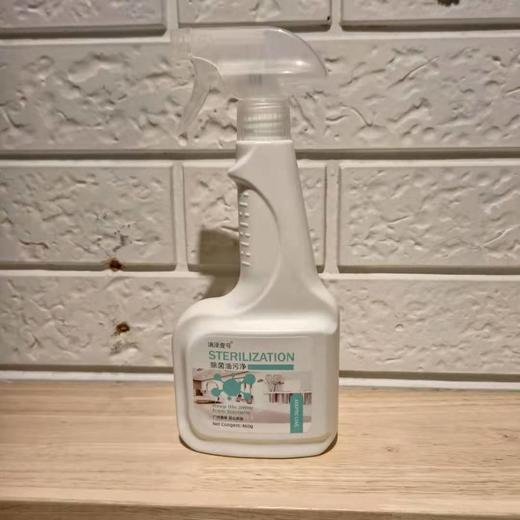 滴渌壹号除菌油污净460g 商品图0