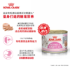 皇家奶糕罐头  幼猫孕猫哺乳湿粮 幼猫离乳期主食级猫罐头 195g 商品缩略图1