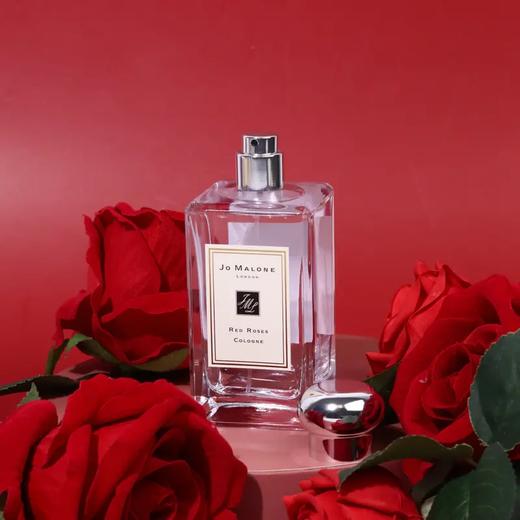 JM 红玫瑰 Red Roses「章小蕙同款女人香 玫瑰香不能没有它」 商品图2