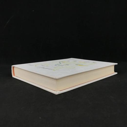 【法语】诺奖作家塞缪尔·贝克特《马龙之死》《好日子》 9幅石版画插图 精装本 商品图1