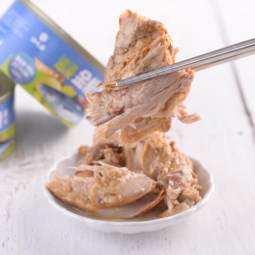 [壮元海]金枪鱼罐头185g/罐（水浸/油浸） 商品图1