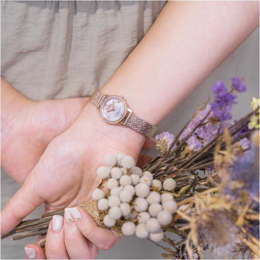 1楼COACH/蔻驰AUDREY系列质感母贝表盘手表女士钢表链腕表复古小金表 商品图0