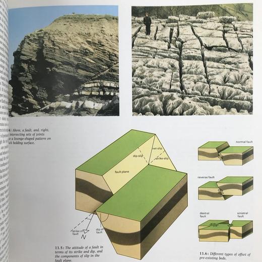 剑桥地球科学百科全书 数百幅插图 精装16开 商品图9
