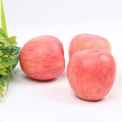 烟台富士苹果 商品图1