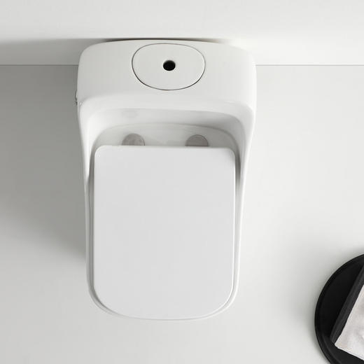 SQ：0491马桶（脲醛盖板） 商品图6