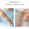 1楼COACH/蔻驰PARK系列经典钢带蝴蝶扣石英手表女士腕表 商品缩略图7