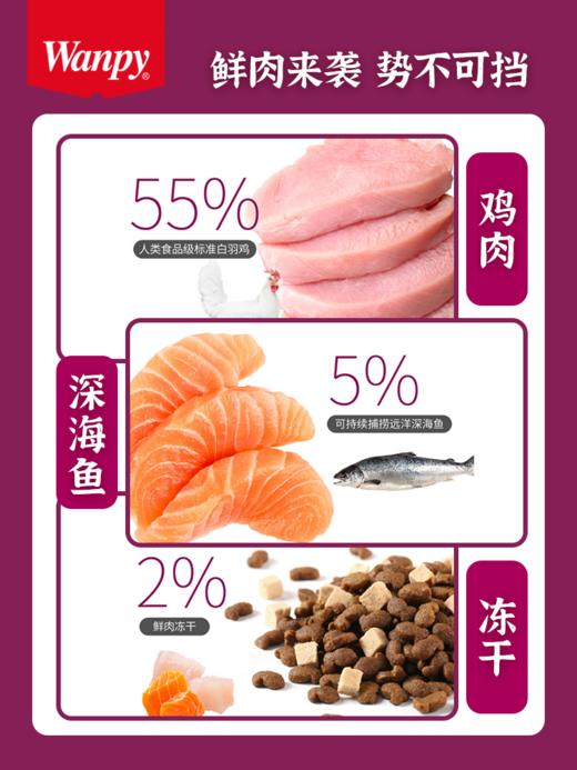 顽皮鸡肉/三文鱼双鲜冻干猫粮 商品图2
