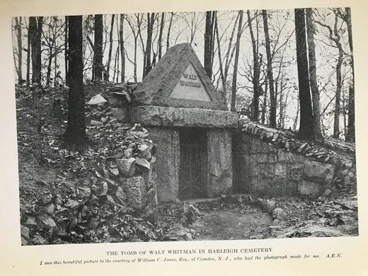 1921年 爱德华·纽顿《洋相百出话藏书》 约50幅插图 漆布脊精装大32开 商品图13