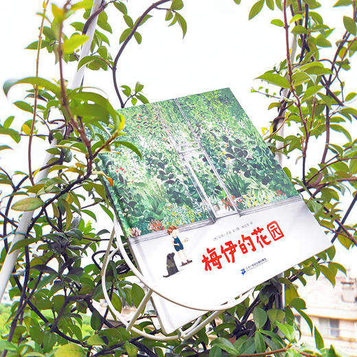 梅伊的花园 绘本图画书3-6岁 商品图2