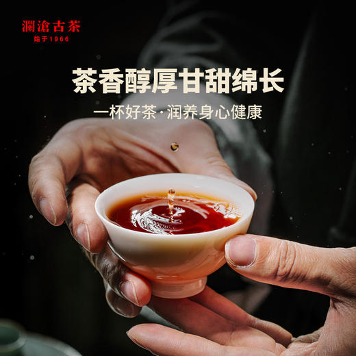 澜沧古茶经典1983散茶罐装100g 商品图3
