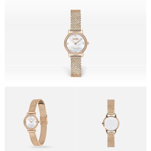 1楼COACH/蔻驰AUDREY系列质感母贝表盘手表女士钢表链腕表复古小金表 商品图5